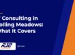 IT Consulting in Rolling Meadows: What It Covers (RJ2 Technologies)
